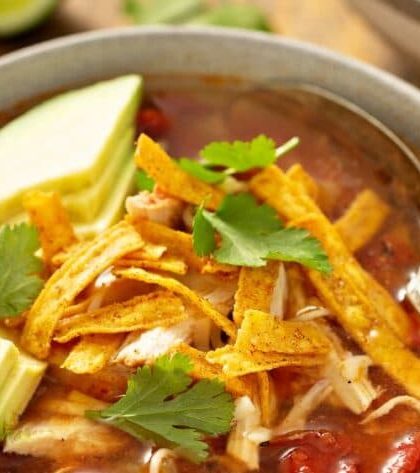 Ina Garten Mexican Chicken Soup