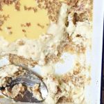 Barefoot Contessa Grapenut Pudding
