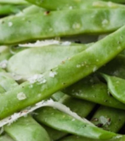 Ina Garten Flat Beans with Pecorino recipe